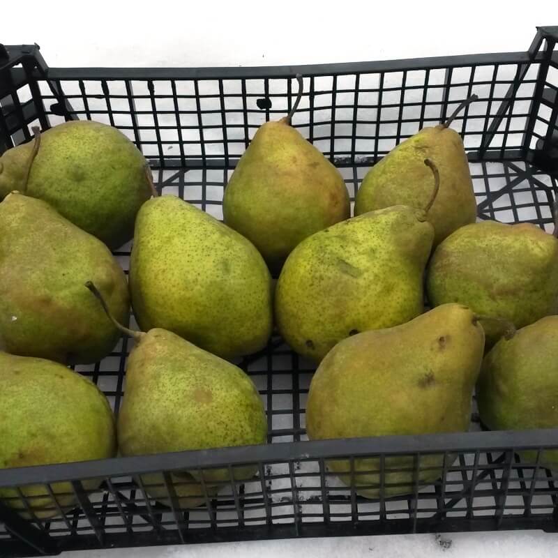 Быстрый просмотр