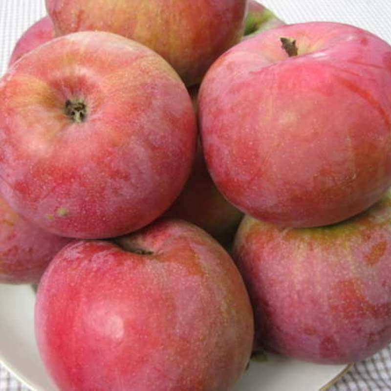 Быстрый просмотр