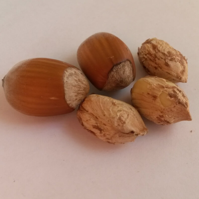 Быстрый просмотр