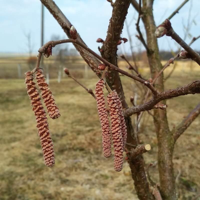 Быстрый просмотр