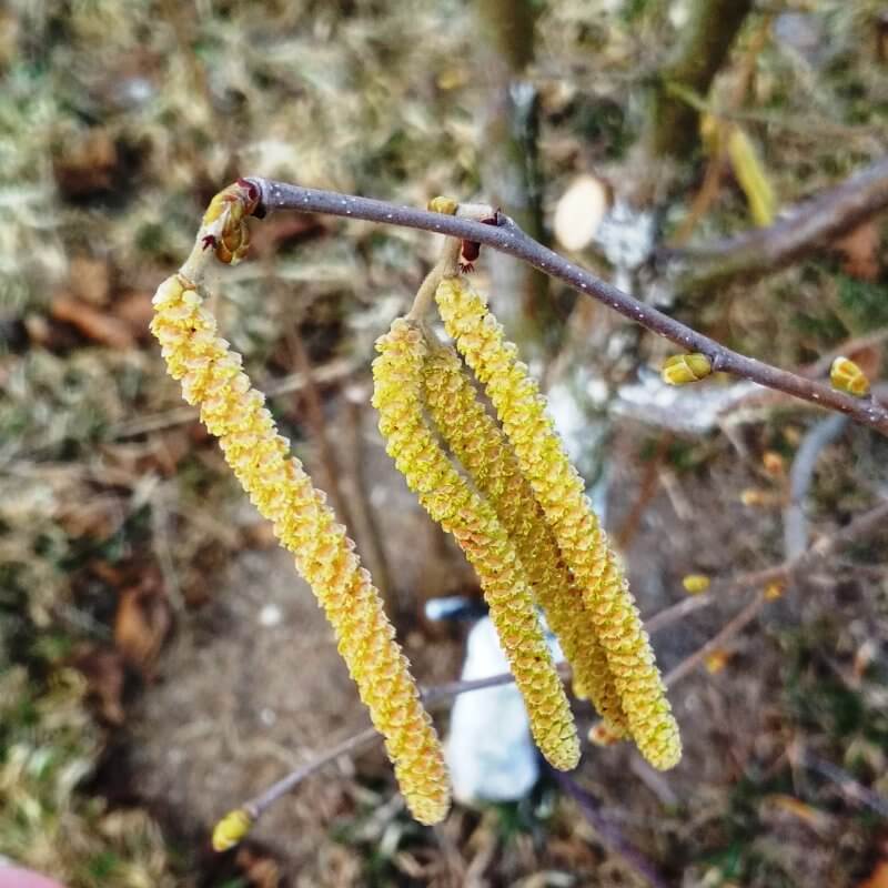 Быстрый просмотр