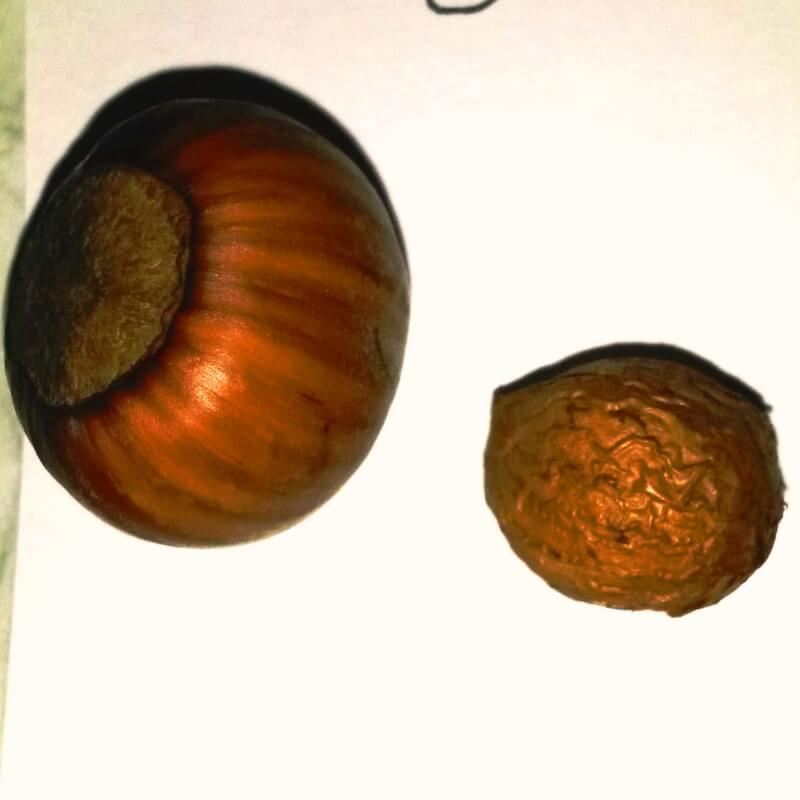 Быстрый просмотр