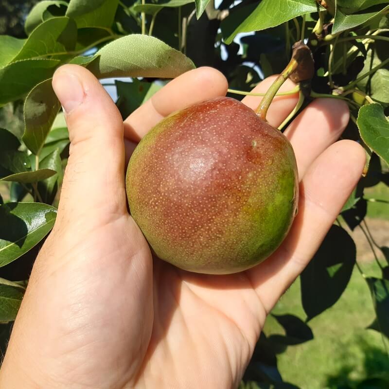 Быстрый просмотр