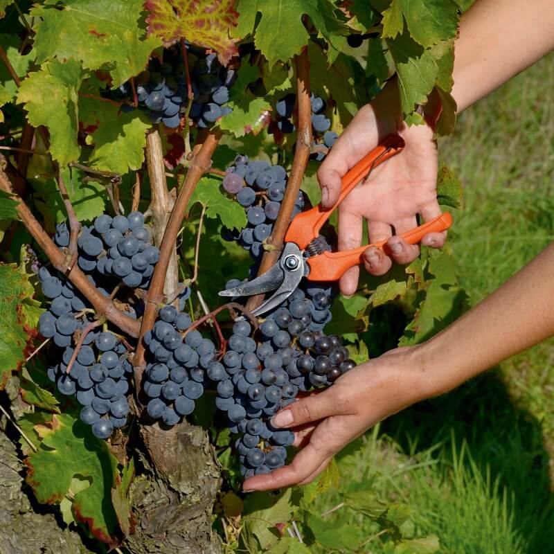 Быстрый просмотр