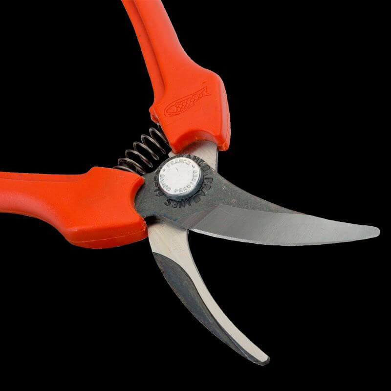 Быстрый просмотр