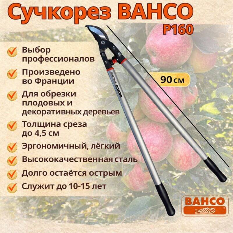 Быстрый просмотр