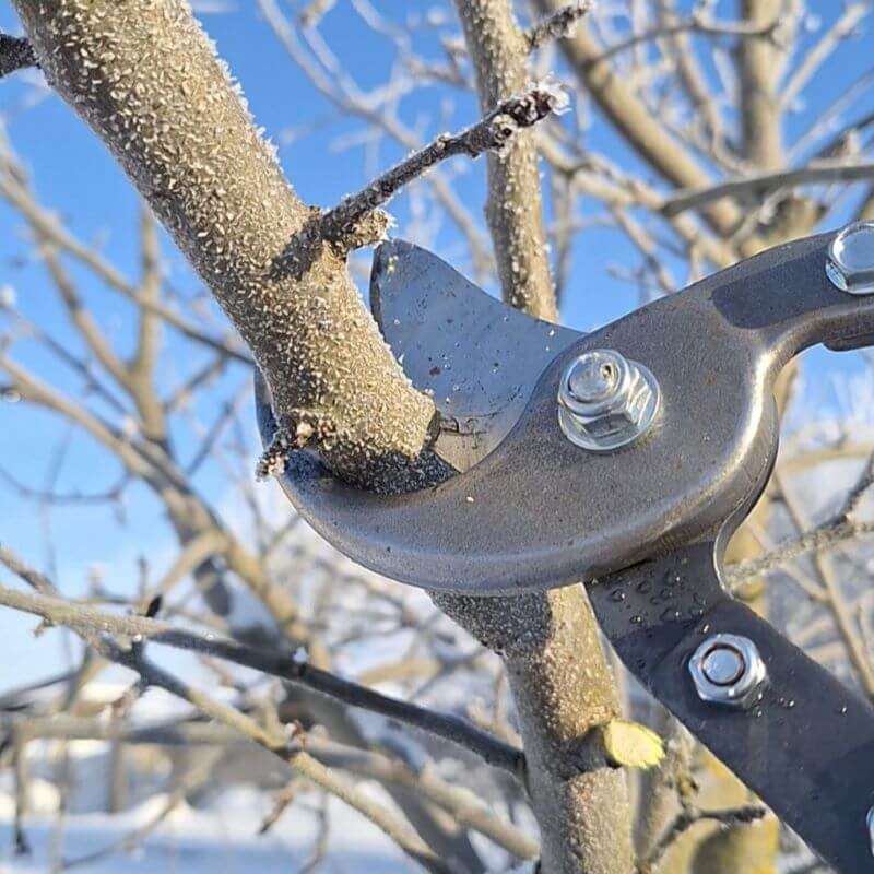 Быстрый просмотр