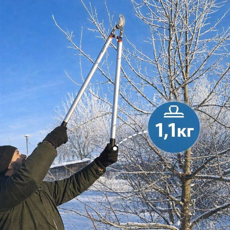 Быстрый просмотр